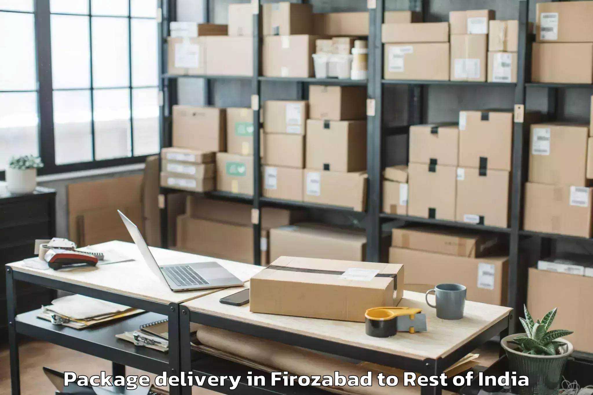 Affordable Firozabad to Damhal Hanjipora Package Delivery